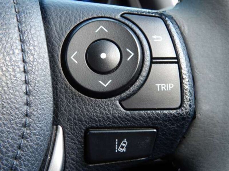 AURIS