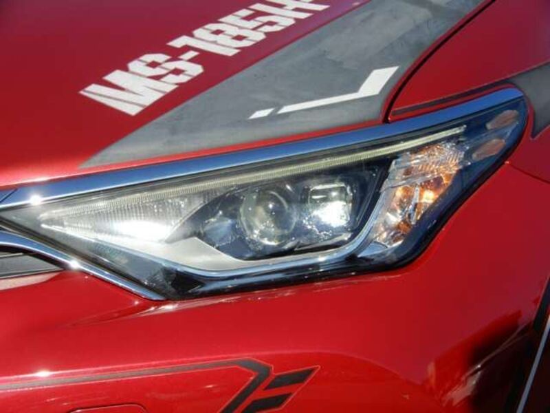 AURIS