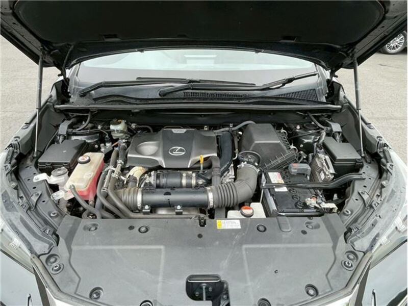 NX
