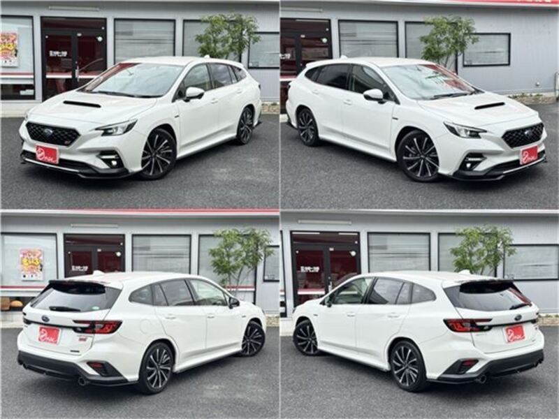 LEVORG
