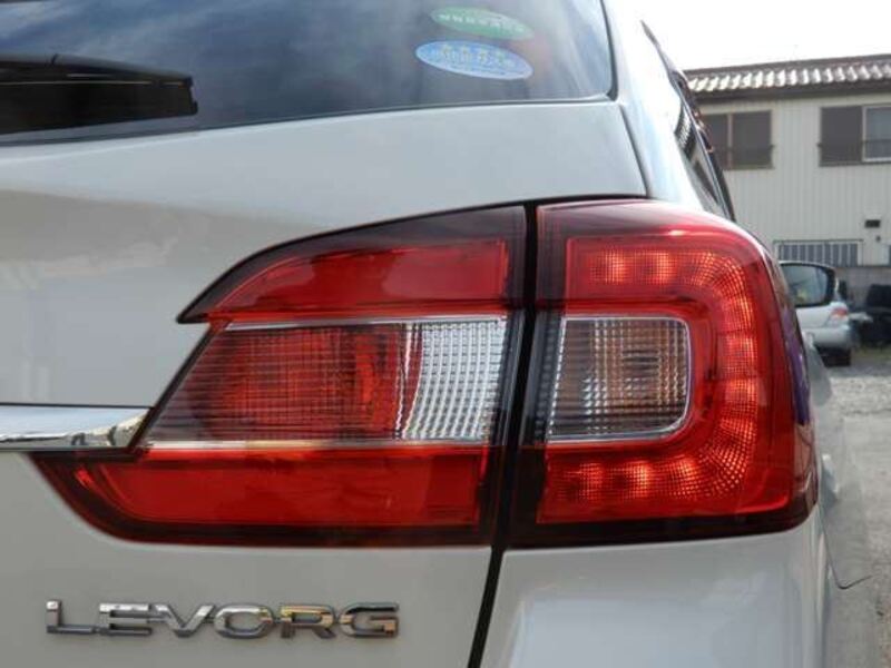 LEVORG