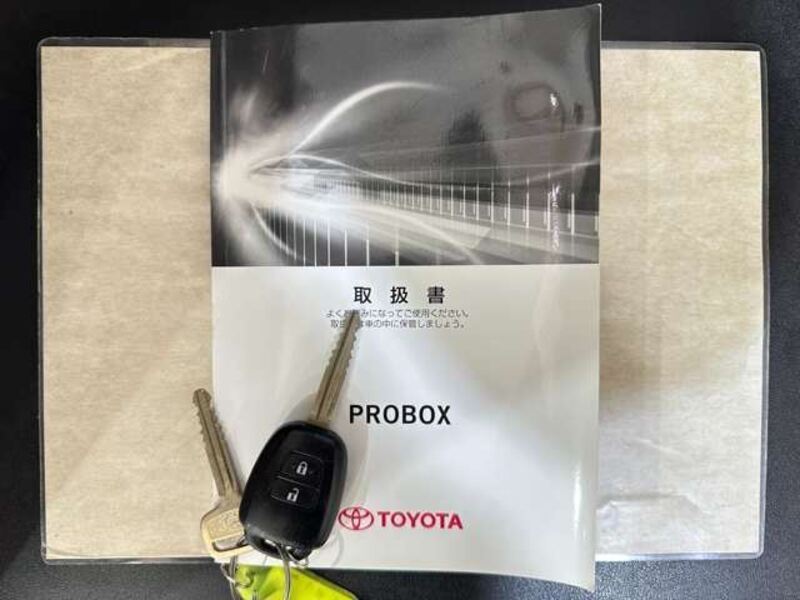 PROBOX VAN