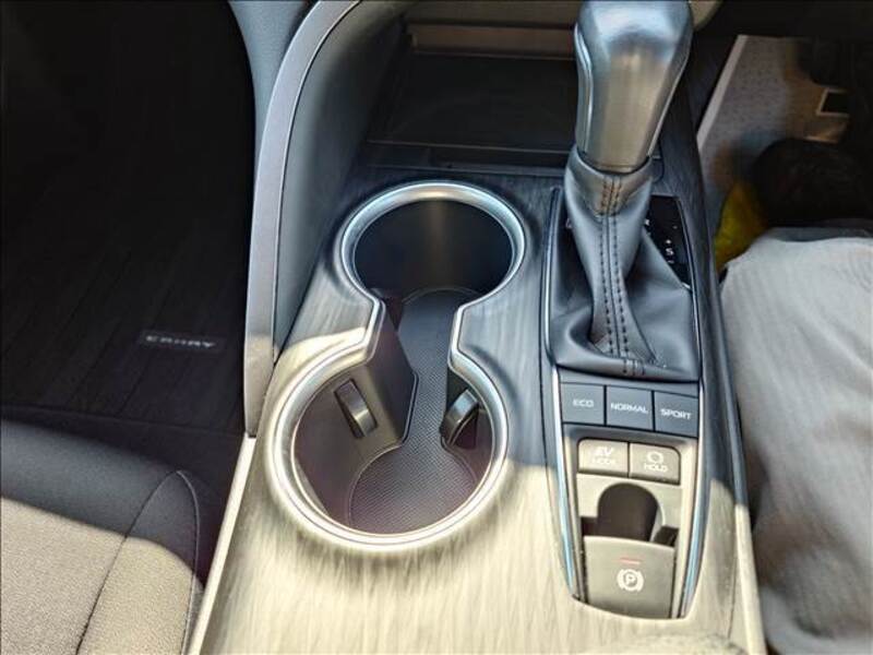 CAMRY
