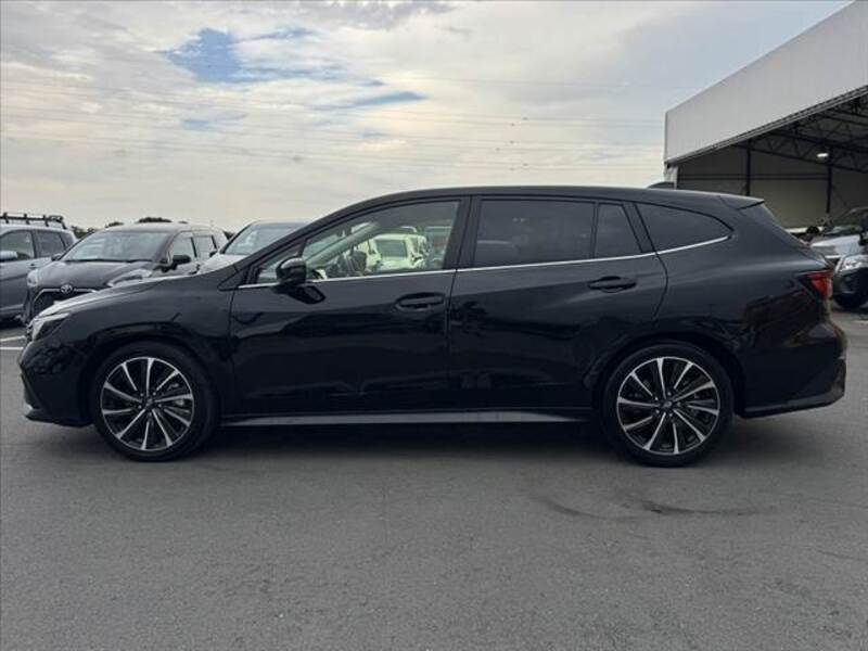 LEVORG