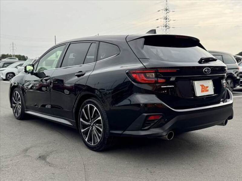 LEVORG