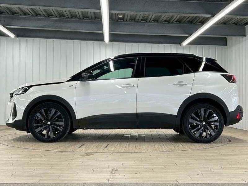 3008