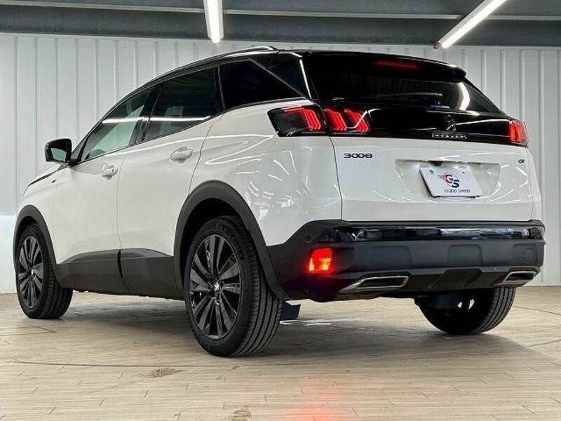 3008