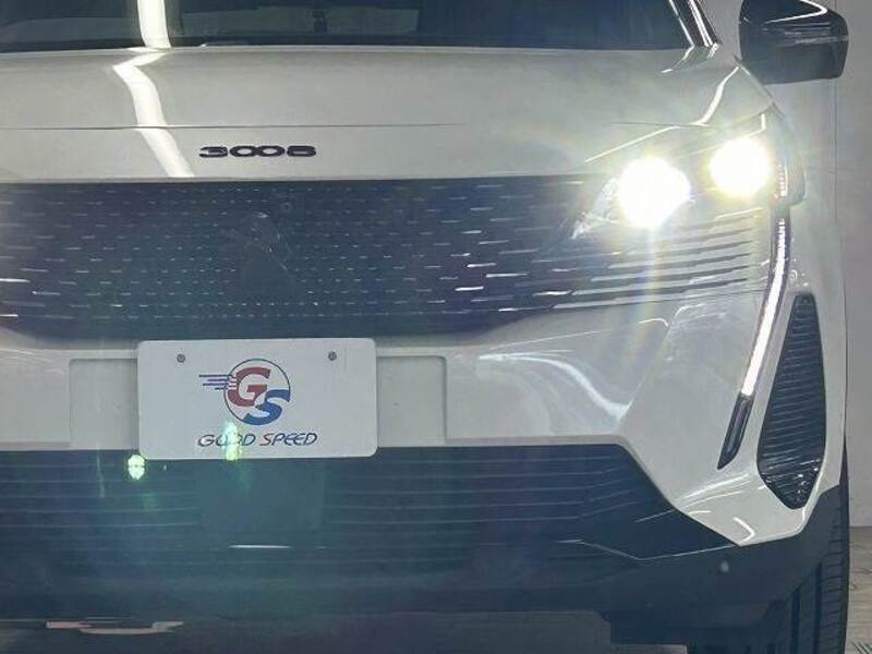 3008