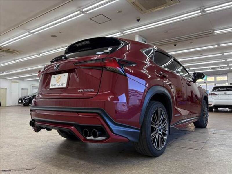 NX