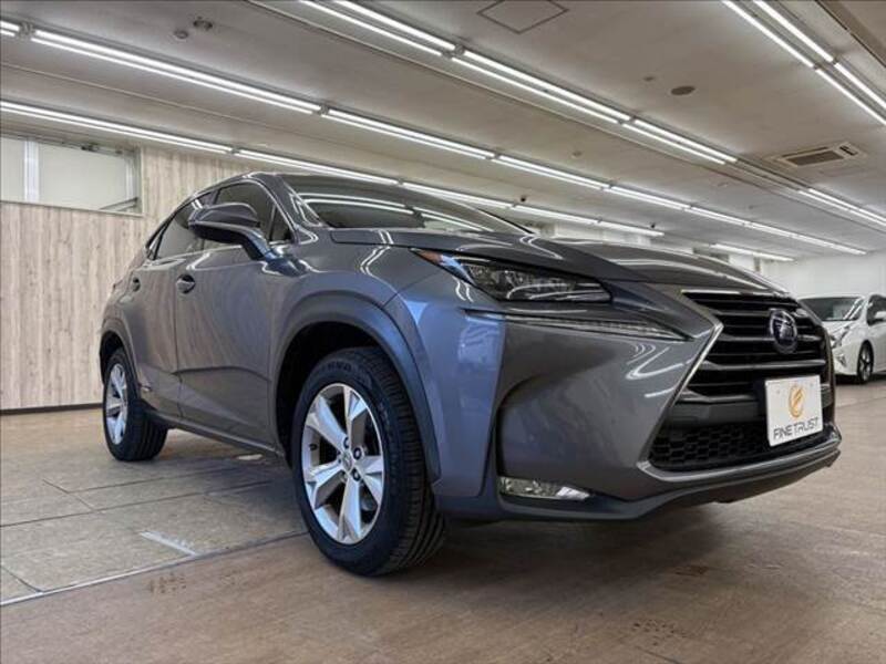 NX