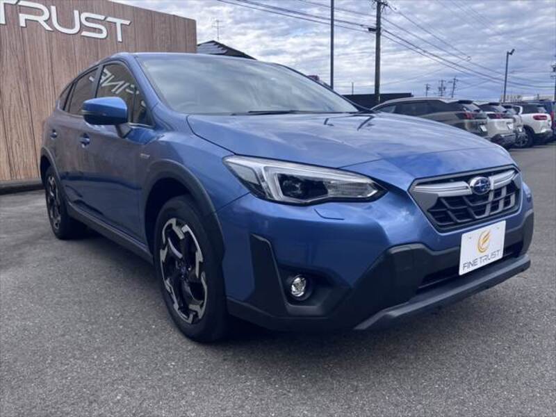 XV