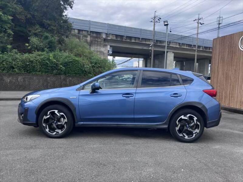 XV