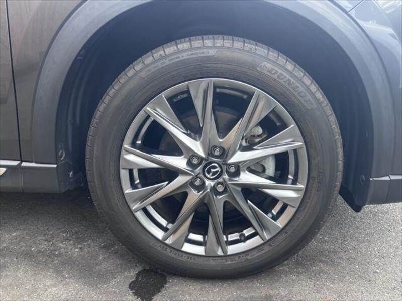 CX-8