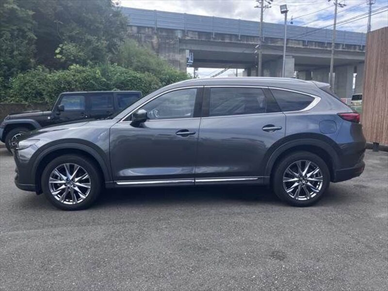 CX-8