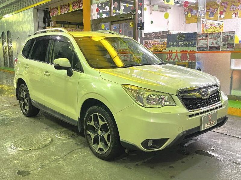 FORESTER