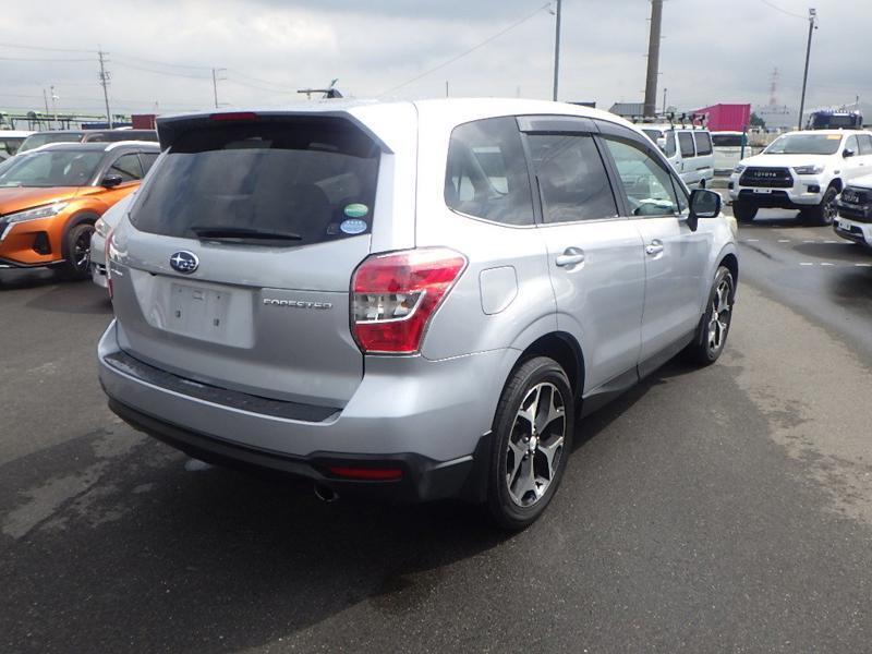 FORESTER