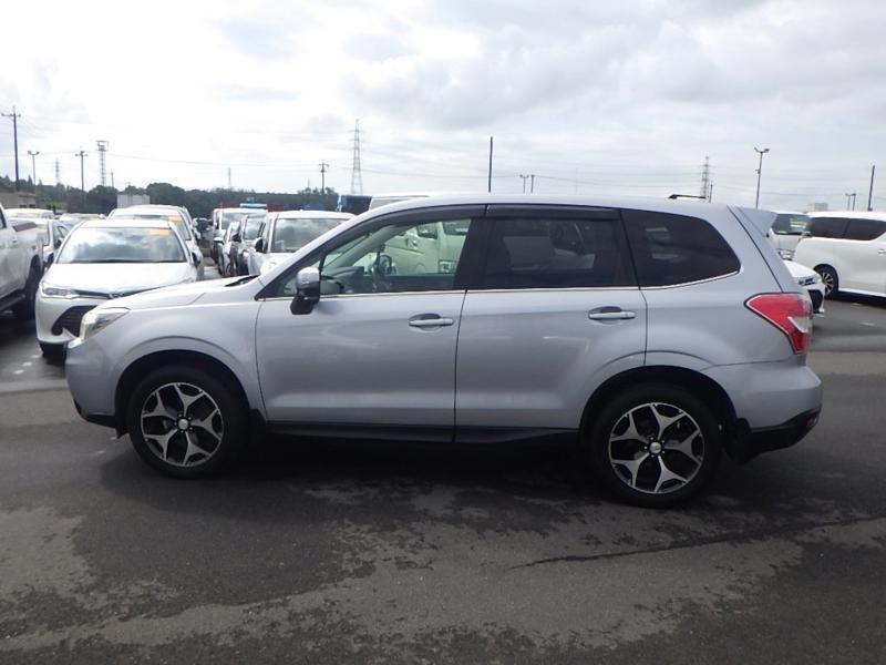 FORESTER