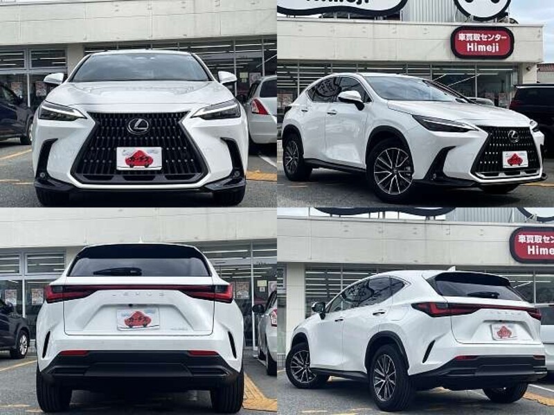 NX