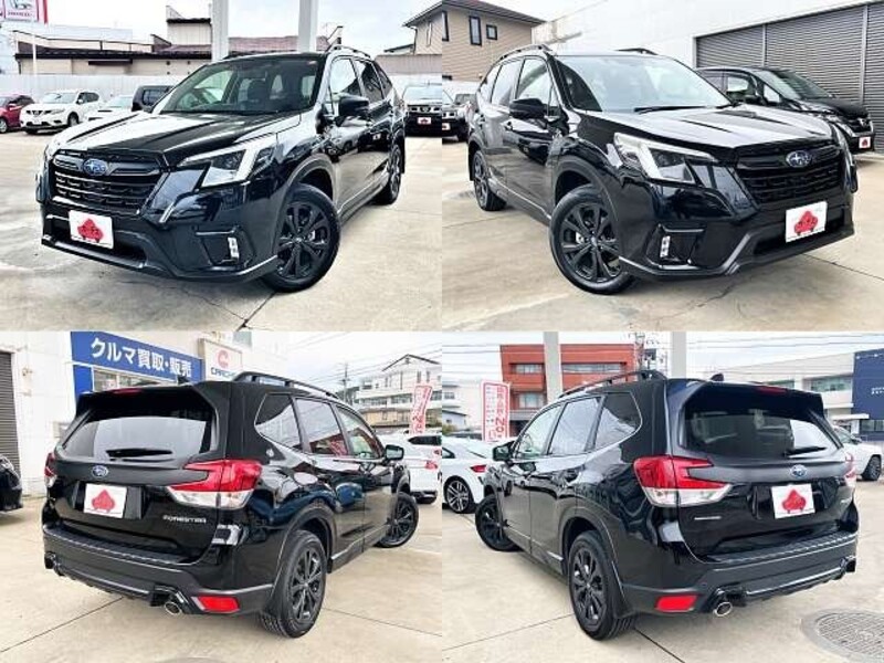 FORESTER