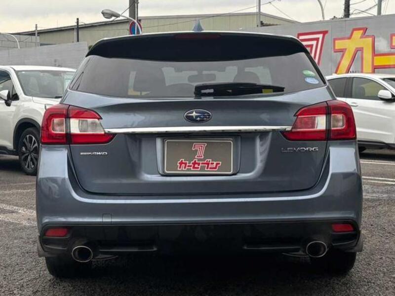 LEVORG