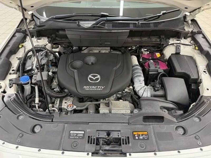 CX-8