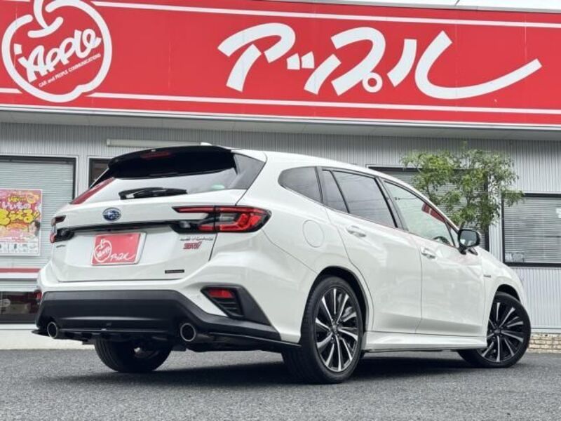 LEVORG