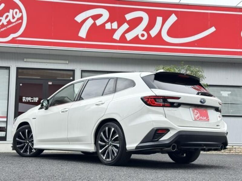 LEVORG