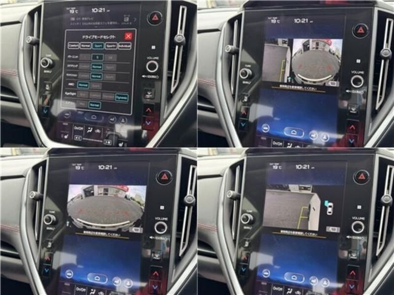 LEVORG