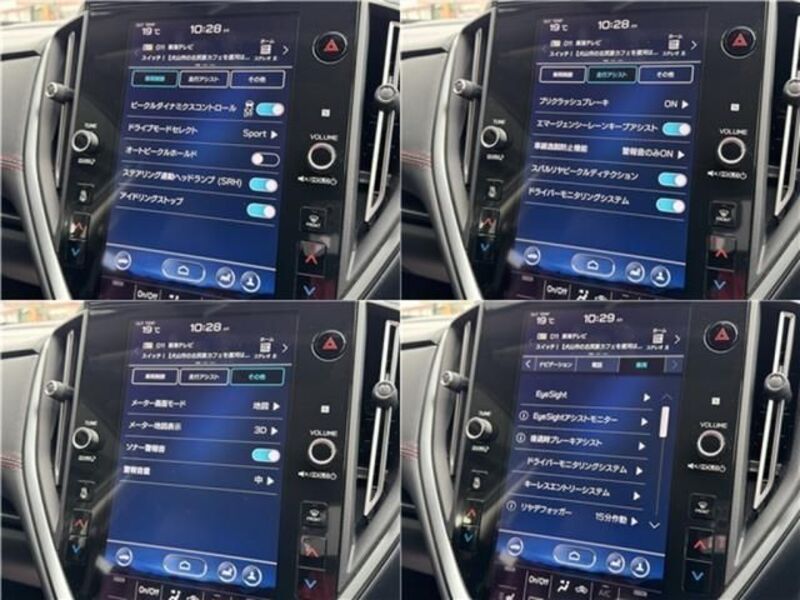 LEVORG