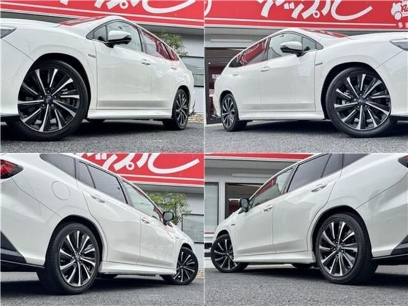 LEVORG