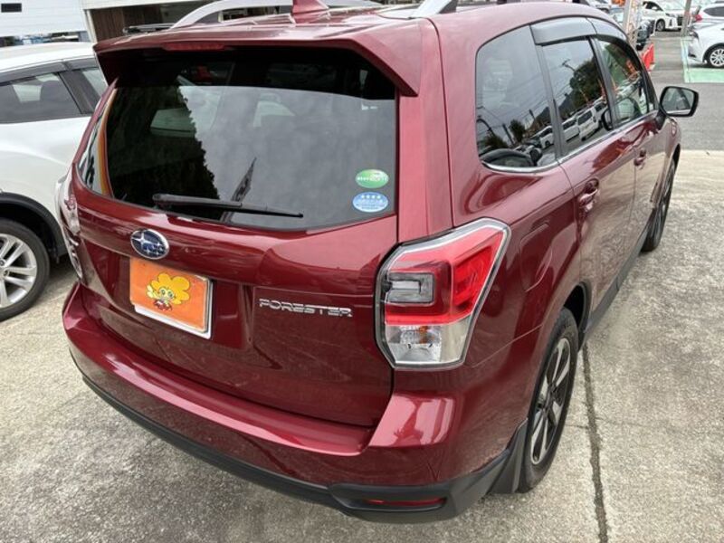 FORESTER