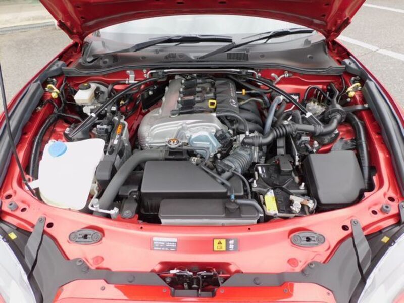 ROADSTER RF