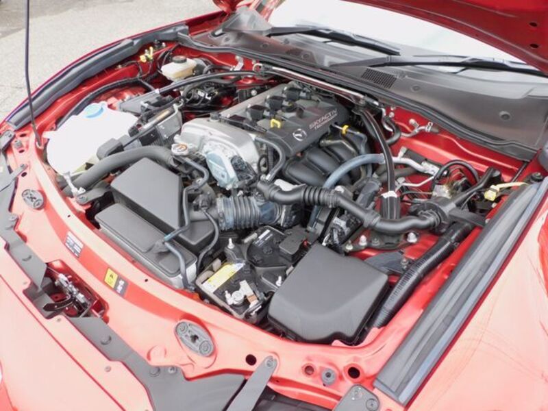 ROADSTER RF