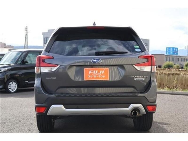 FORESTER
