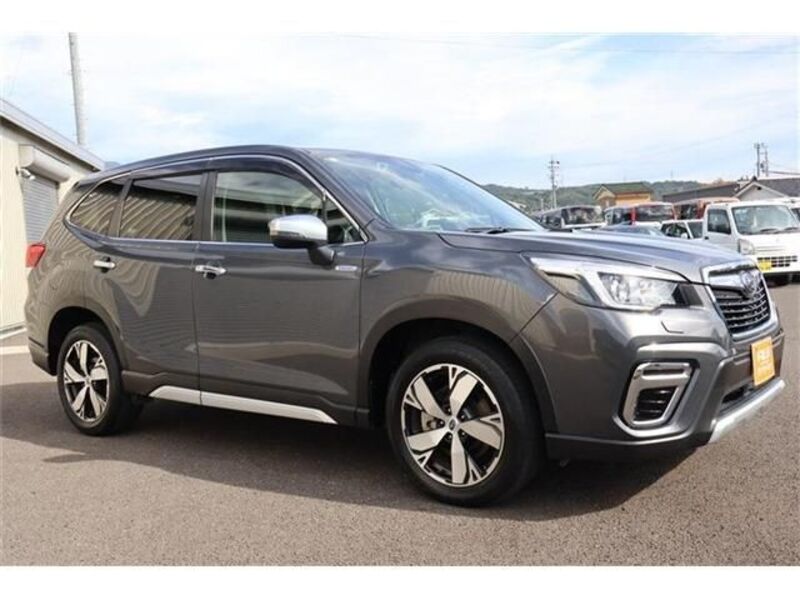 FORESTER