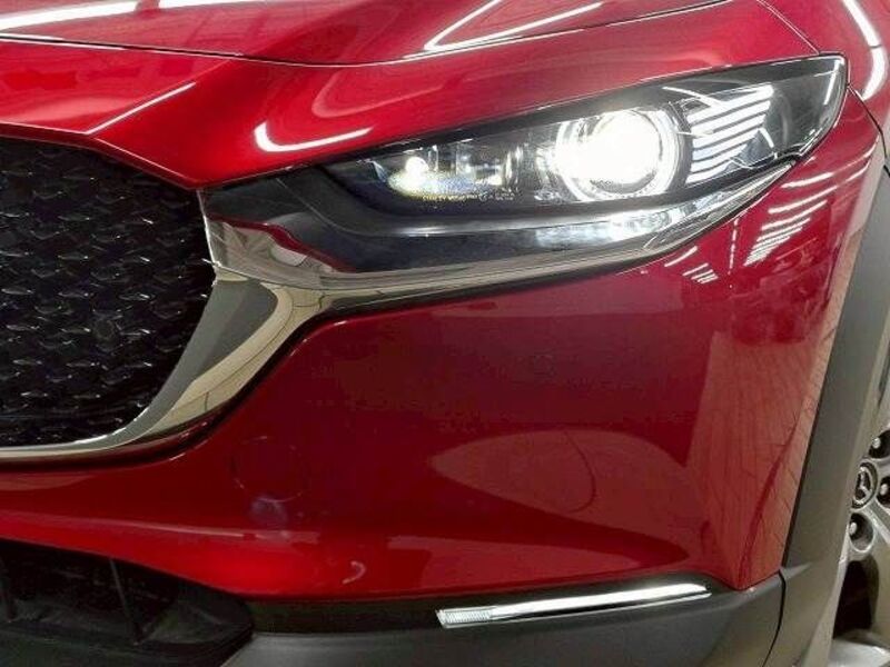 CX-30