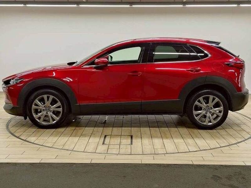 CX-30