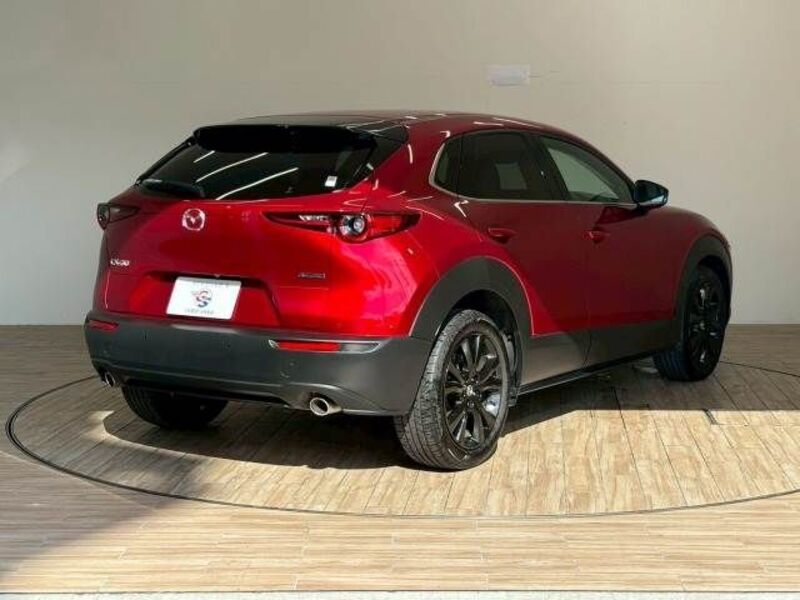 CX-30