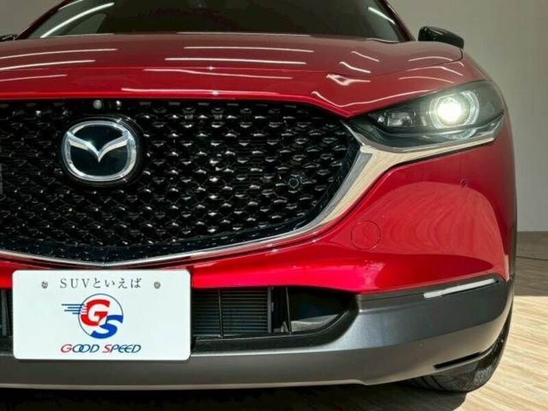 CX-30