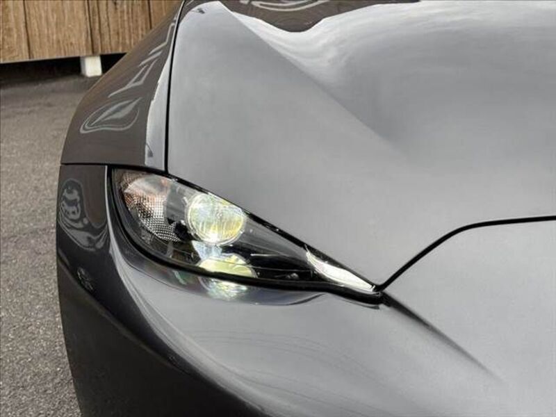 ROADSTER RF