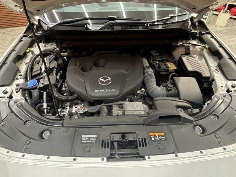 CX-8