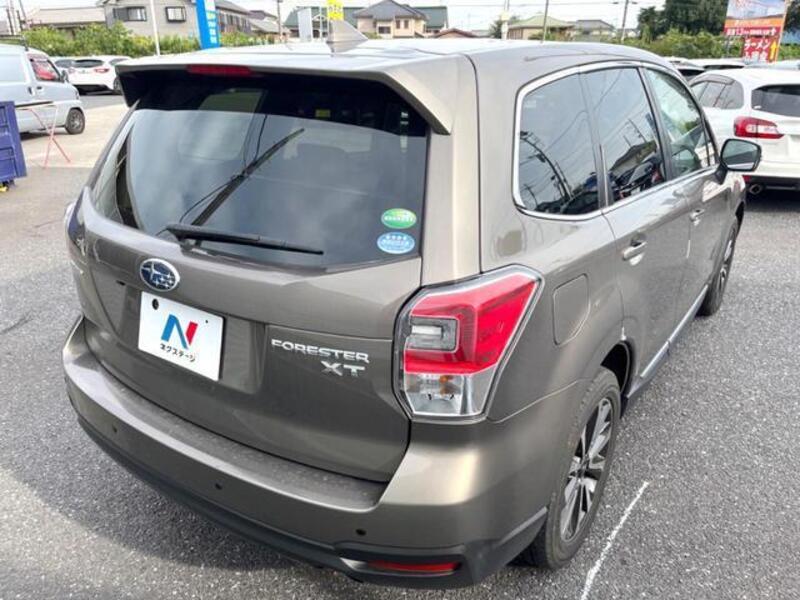 FORESTER