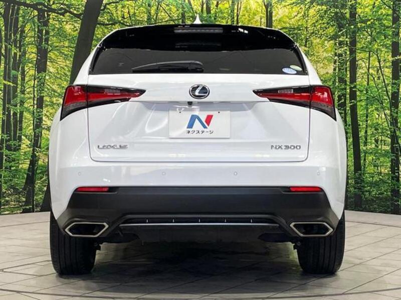 NX