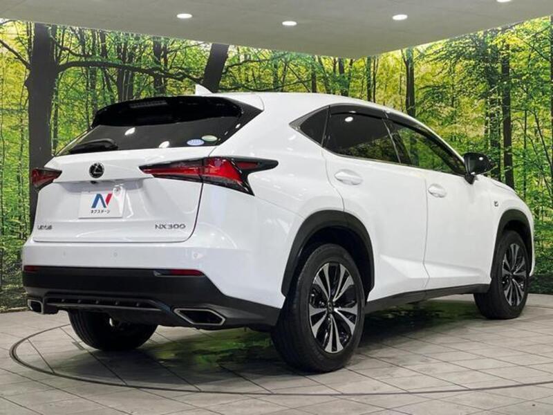 NX