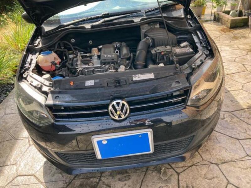 POLO