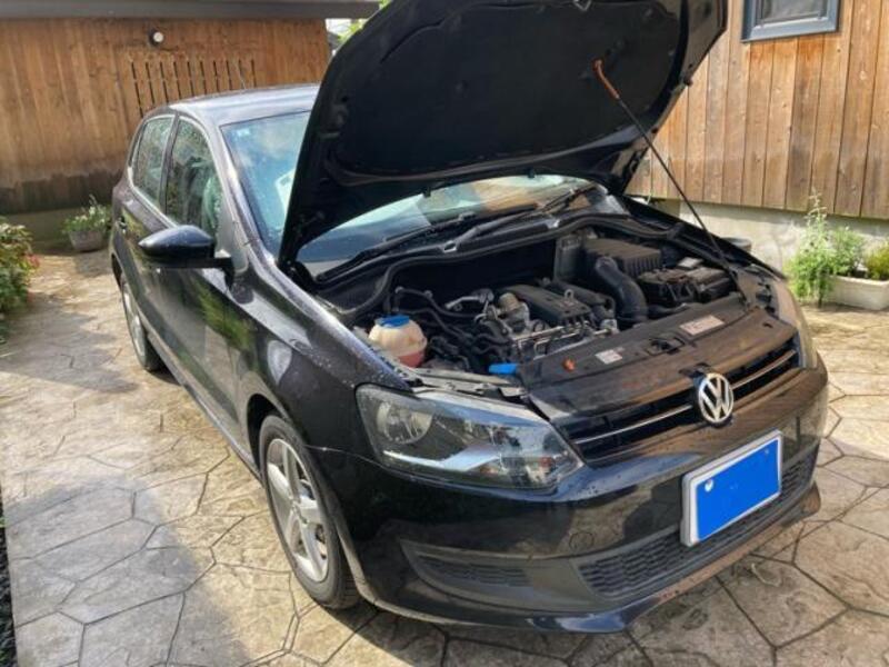 POLO-0