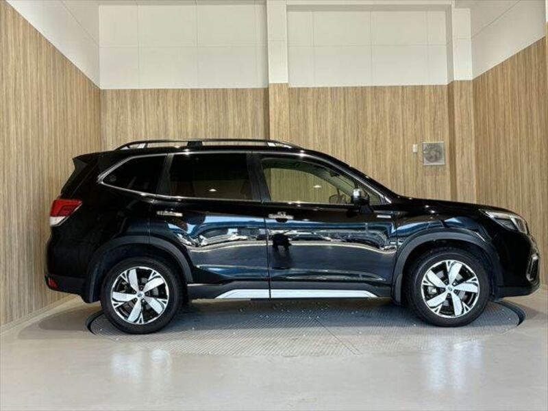 FORESTER