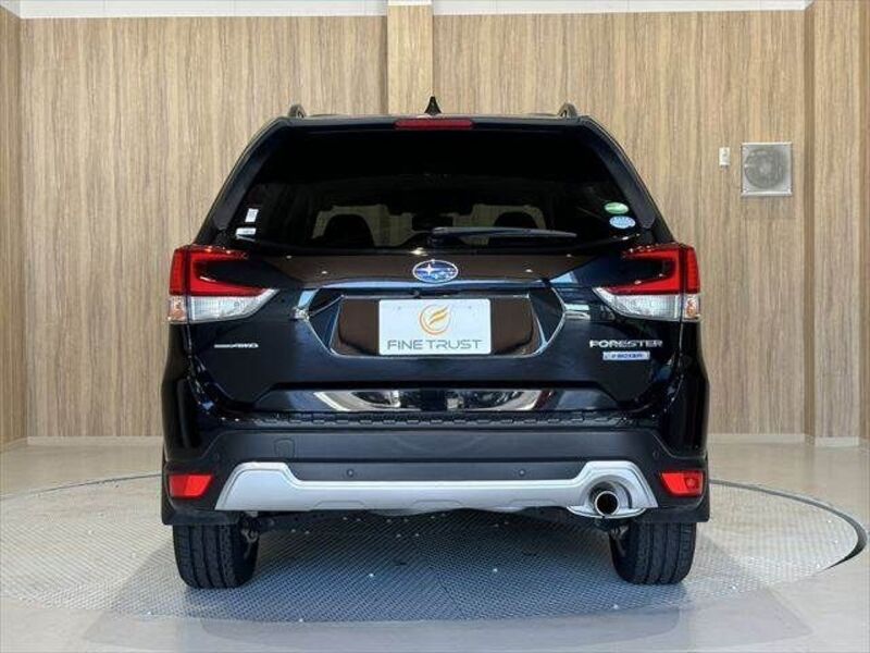FORESTER