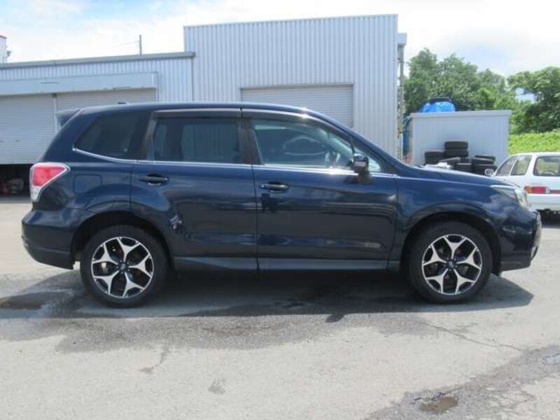 FORESTER