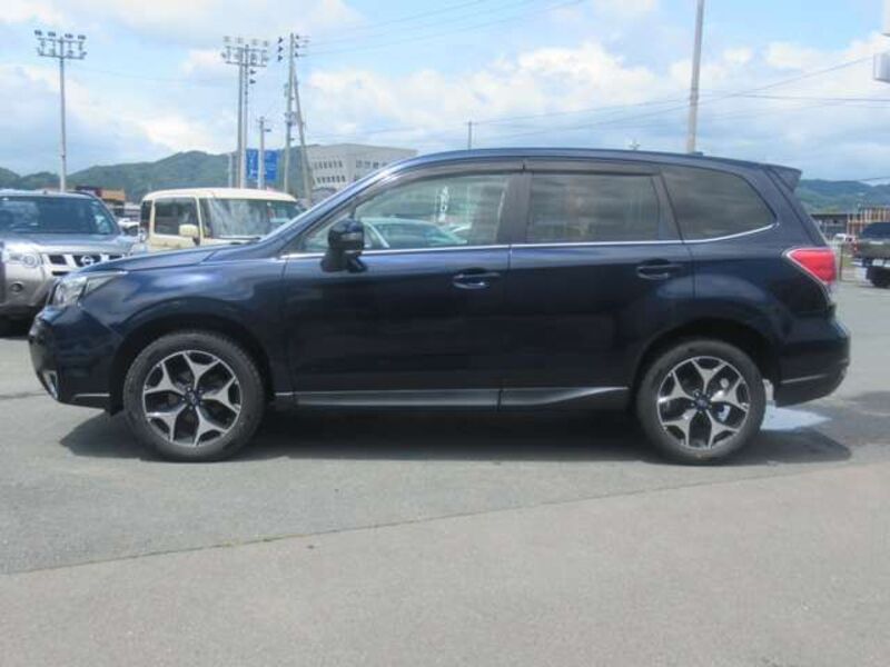 FORESTER